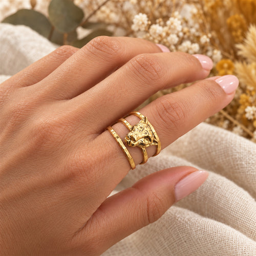 Anillo África