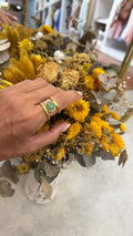 Anillo Carmen de Kartana, vista principal