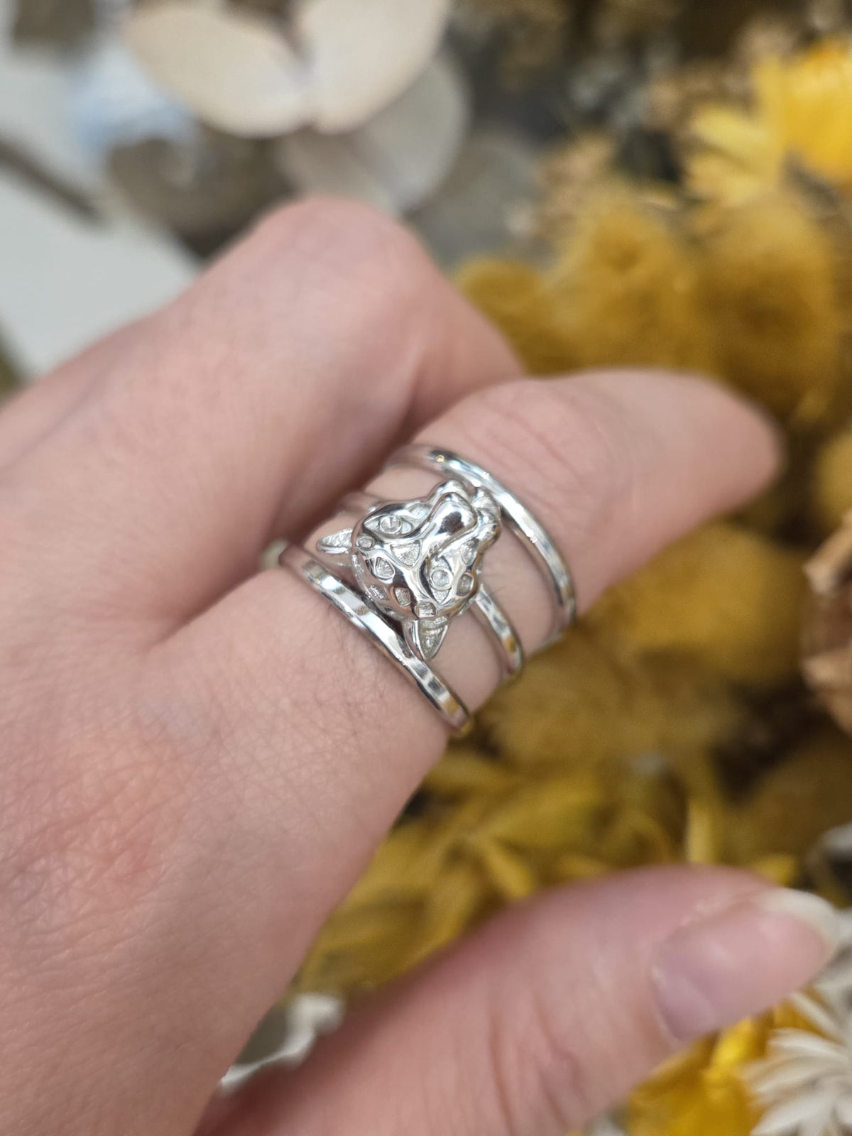 Anillo África