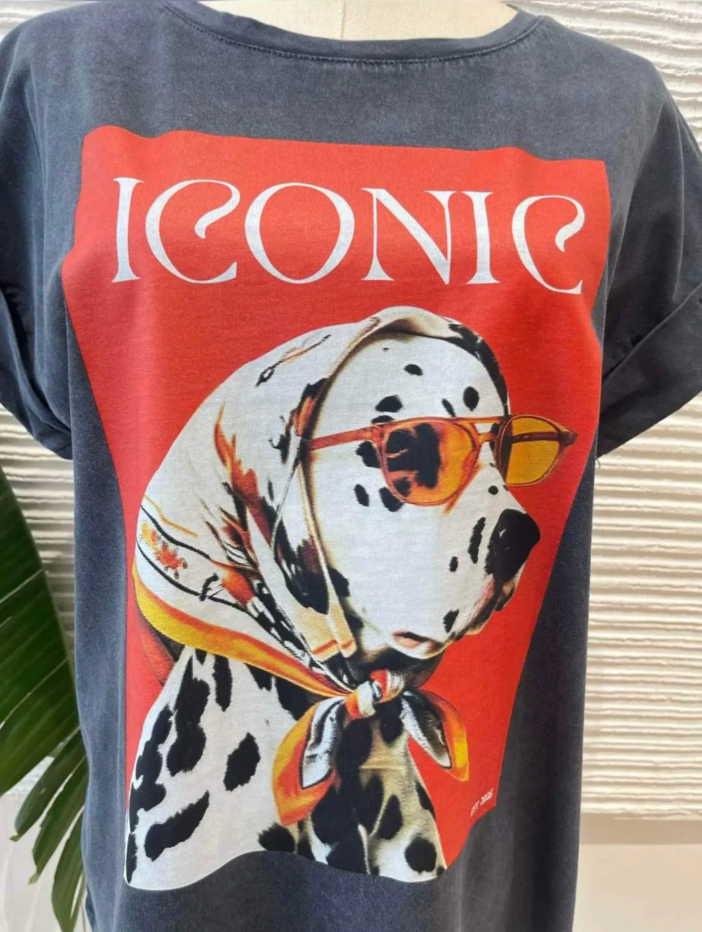 Camiseta Iconic Dalma