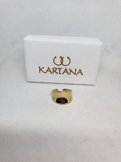 Anillo Liso