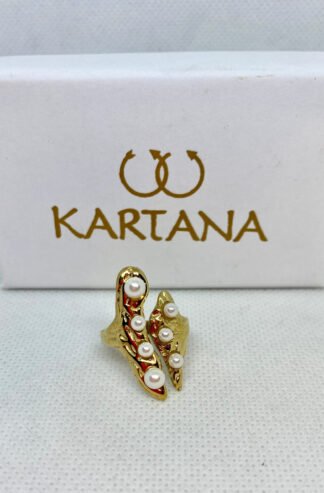 anillo bahanas